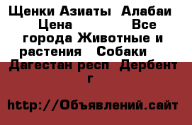 Щенки Азиаты (Алабаи) › Цена ­ 20 000 - Все города Животные и растения » Собаки   . Дагестан респ.,Дербент г.